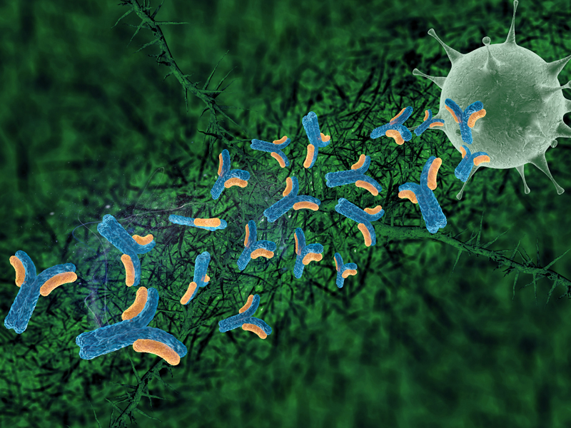 微酸性電解水對諾如病毒的滅活效果