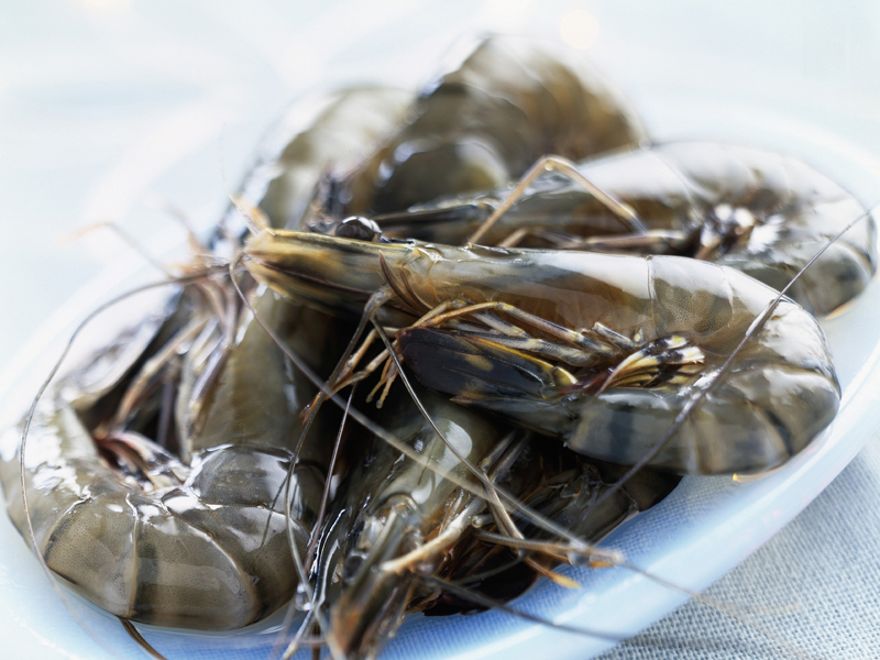 微酸性電解水可以減少蝦致病菌污染